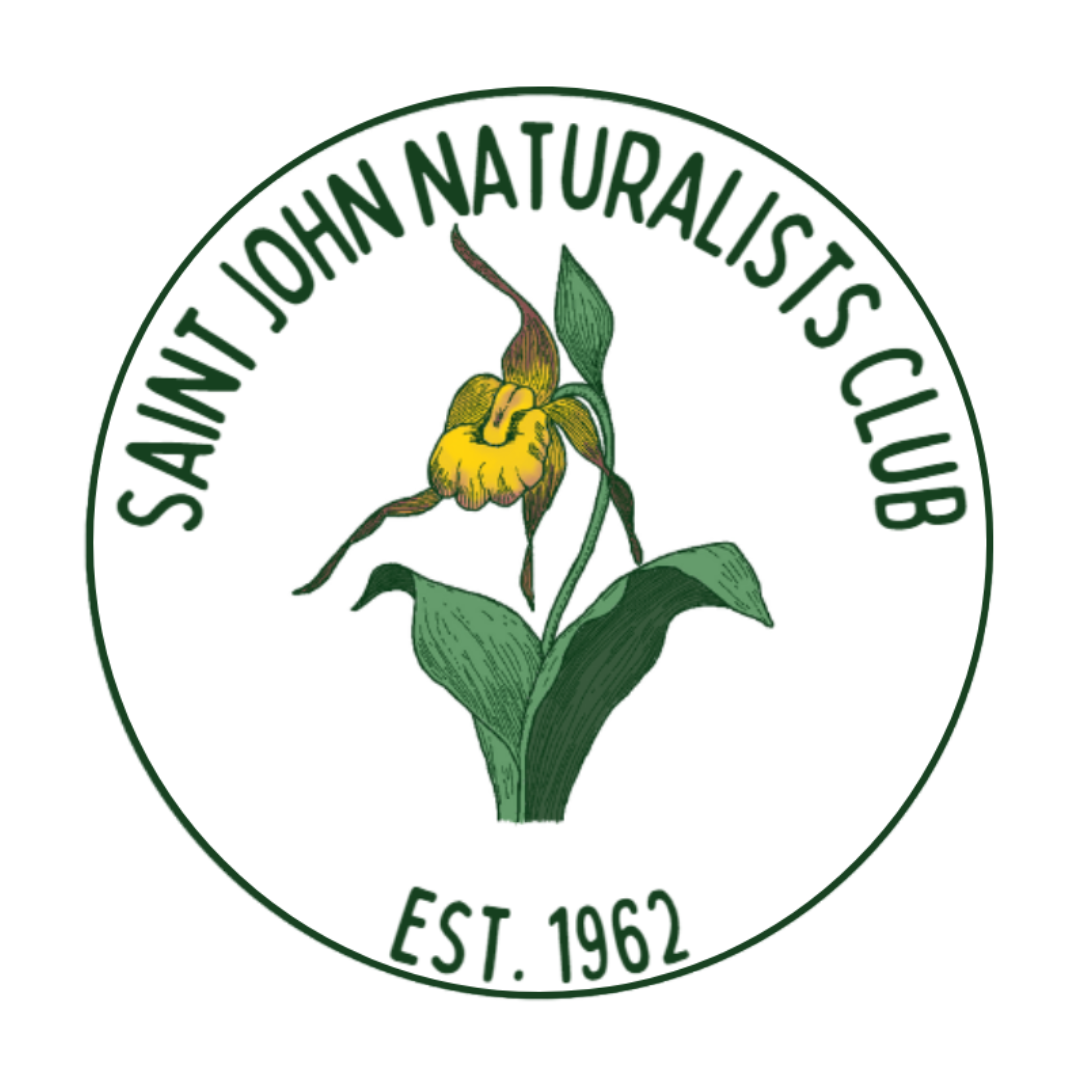 Saint John Naturalists Club