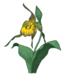 Saint John Naturalists Club